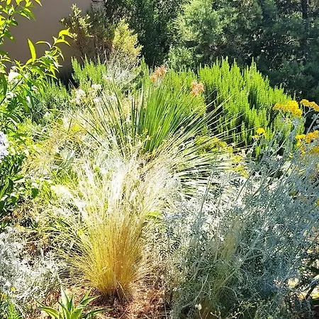 Maison-a-sulana-palombaggia Villa