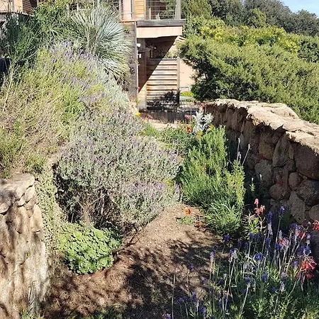 Maison-a-sulana-palombaggia Porto-Vecchio (Corsica)