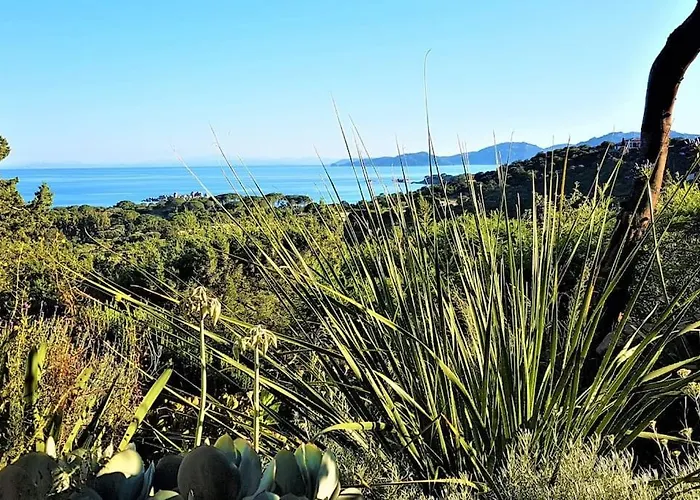 ヴィラ Maison-a-sulana-palombaggia