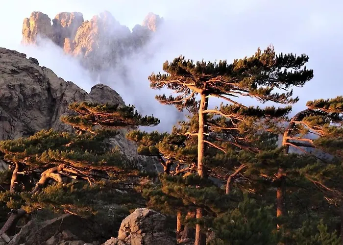 Maison-a-sulana-palombaggia *